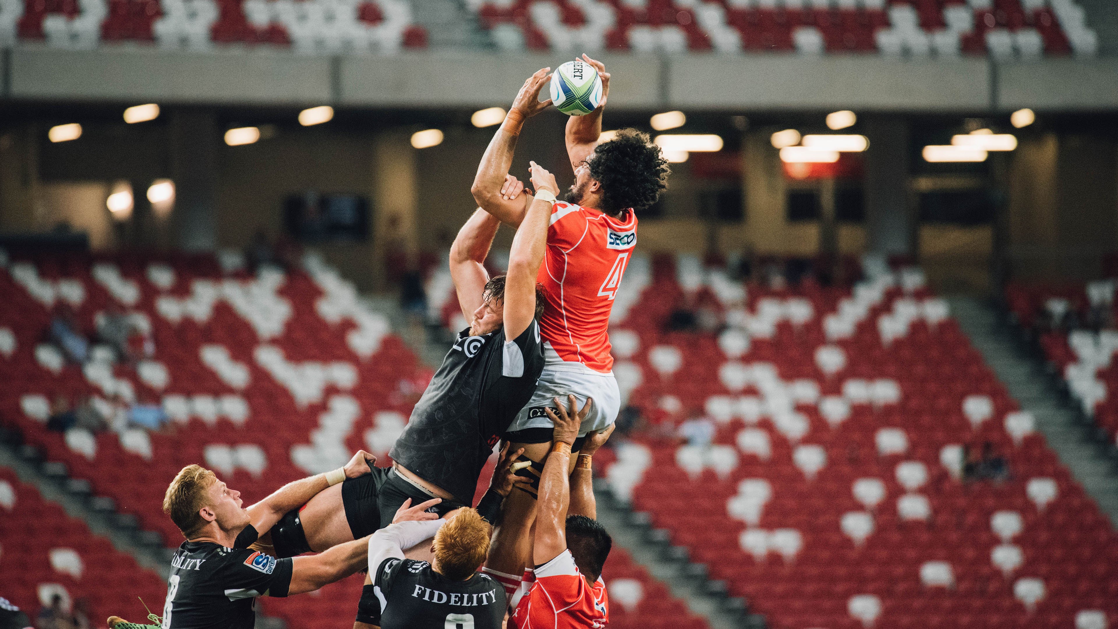 王皓独中三元闪耀全场，法国队战术完胜韩国队