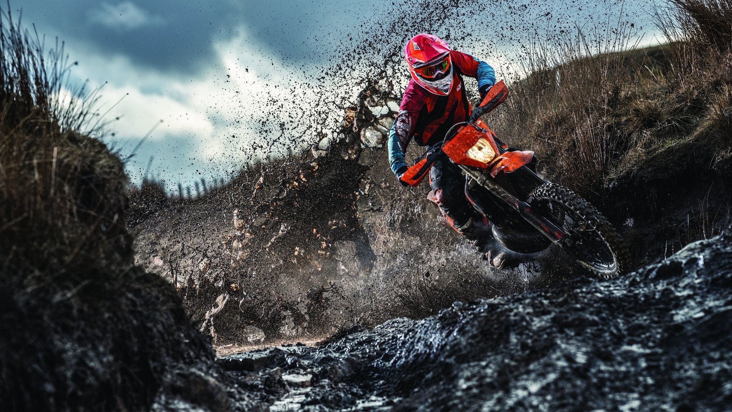 骑士力克吉林队，塔图姆高光表现引爆全场